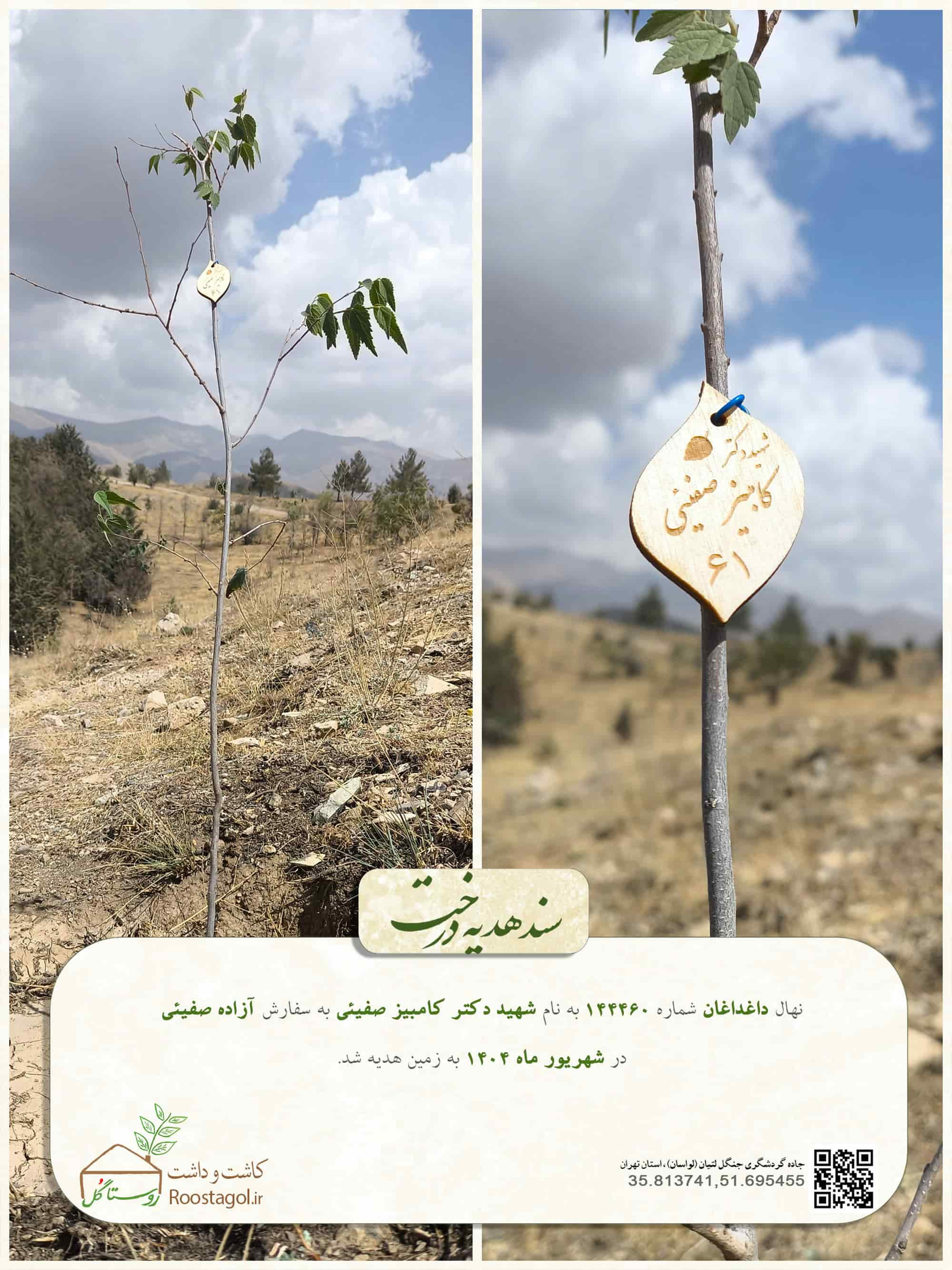 شهيد دكتر كامبيز صفيئى61